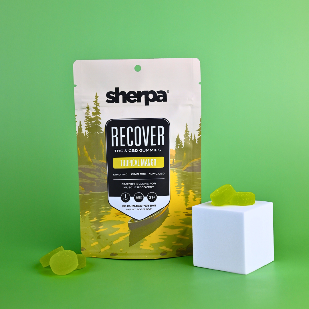 Sherpa 10mg THC Recover - Tropical Mango Gummies - Sherpa