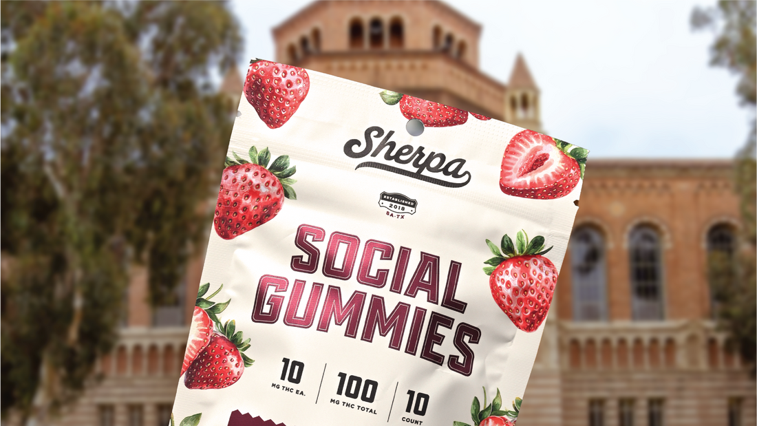 Managing Back-to-School Anxiety as a Parent: Can THC Gummies Help?