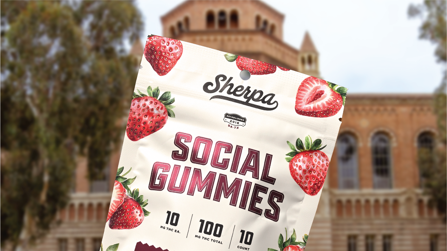 Managing Back-to-School Anxiety as a Parent: Can THC Gummies Help?