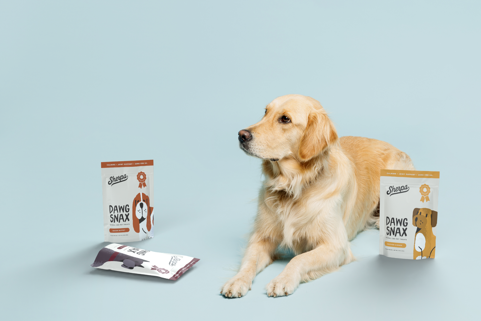 Is CBD Safe for Dogs? What to Know Before Giving Your Pet CBD Treats