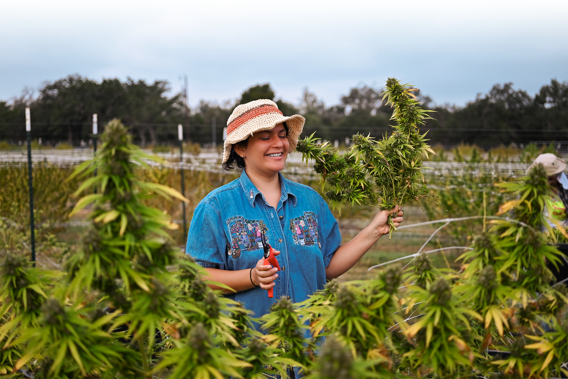 Sherpa farming image